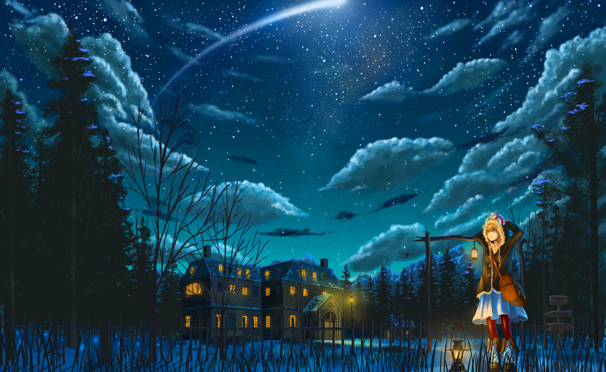Download 21 night-anime-background Free--Anime-Forest-At-Night-Background-Night-forest-.png