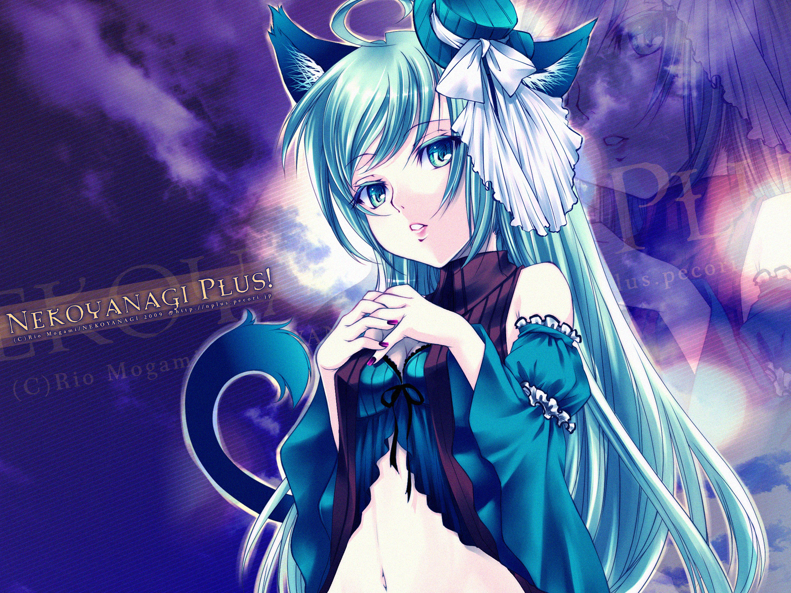 Animal Ears Aqua Eyes Aqua Hair Catgirl Mogami Rio Animeflow