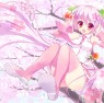 ameto yuki, cherry blosso…