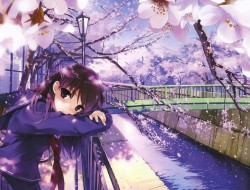 Girl under a sakura tree