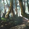 forest ,  hirokiku ,  lan…